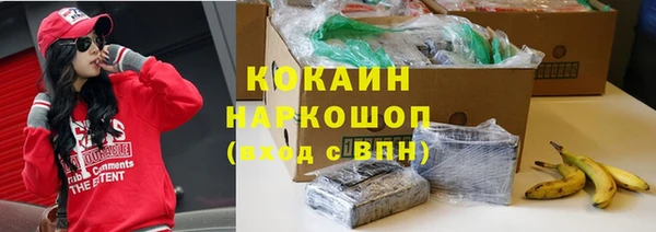 Альфа ПВП Горняк