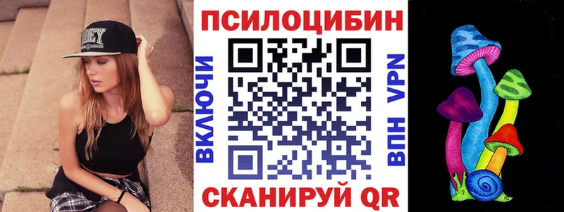 Псилоцибиновые грибы мухоморы  нарко площадка какой сайт  Рудня  mega ТОР 