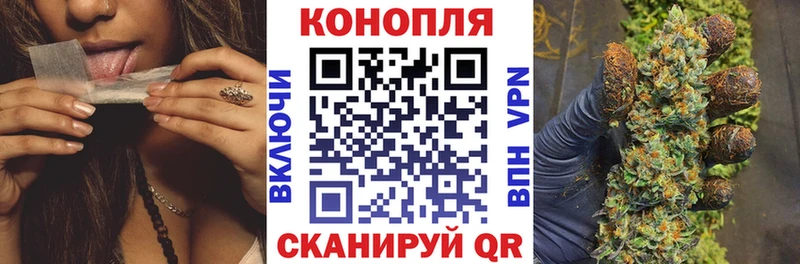 Канабис сатива  гидра как войти  Рудня  где можно купить  